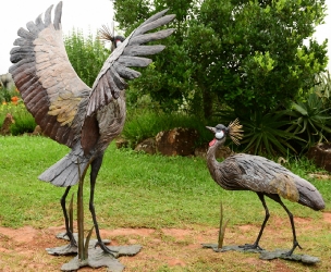 Dance - Crowned crane pair - life-sized
