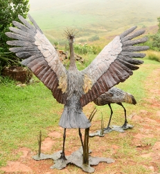 Dance - Crowned crane pair - life-sized