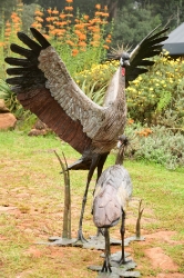Dance - Crowned crane pair - life-sized