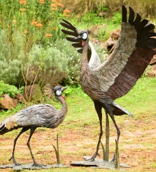 Dance - Crowned crane pair - life-sized