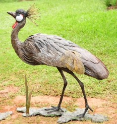 Dance - Crowned crane pair - life-sized