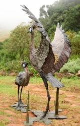 Dance - Crowned crane pair - life-sized