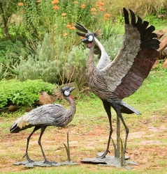 Dance - Crowned crane pair - life-sized