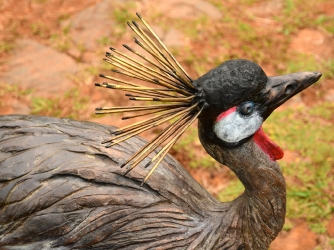 Dance - Crowned crane pair - life-sized