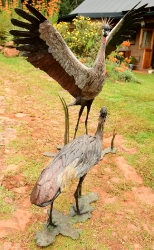 Dance - Crowned crane pair - life-sized