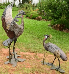 Dance - Crowned crane pair - life-sized
