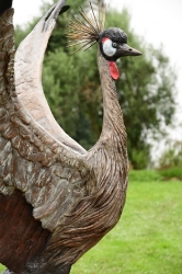 Dance - Crowned crane pair - life-sized
