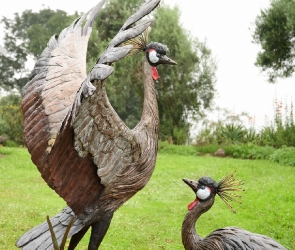 Dance - Crowned crane pair - life-sized