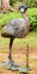 Dance - Crowned crane pair - life-sized