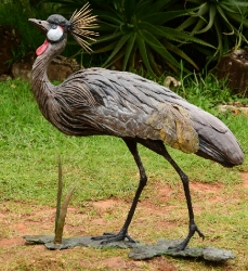 Dance - Crowned crane pair - life-sized
