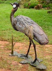 Dance - Crowned crane pair - life-sized