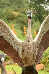 Dance - Crowned crane pair - life-sized