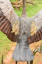 Dance - Crowned crane pair - life-sized