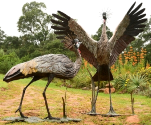 Dance - Crowned crane pair - life-sized