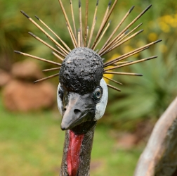 Dance - Crowned crane pair - life-sized
