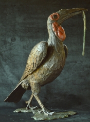Ground Hornbill with Snake (or not)