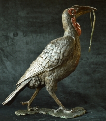 Ground Hornbill with Snake (or not)