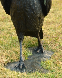 Ground Hornbill with Snake (or not)