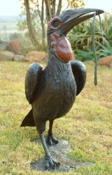 Ground Hornbill with Snake (or not)
