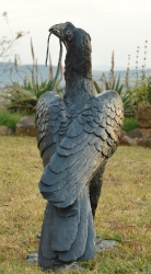 Ground Hornbill with Snake (or not)