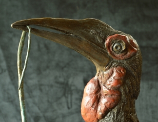 Ground Hornbill with Snake (or not)