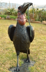 Ground Hornbill with Snake (or not)