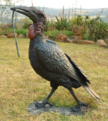 Ground Hornbill with Snake (or not)