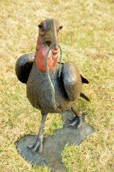 Ground Hornbill with Snake (or not)