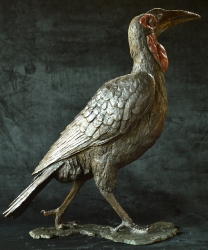 Ground Hornbill with Snake (or not)