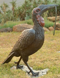 Ground Hornbill with Snake (or not)