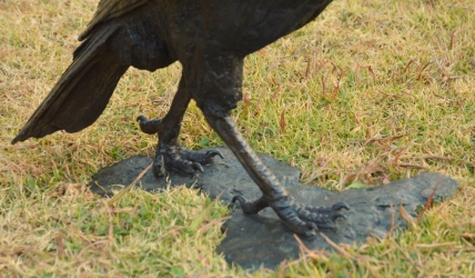 Ground Hornbill with Snake (or not)