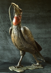 Ground Hornbill with Snake (or not)