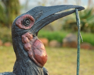 Ground Hornbill with Snake (or not)