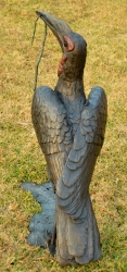 Ground Hornbill with Snake (or not)