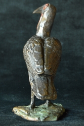 Ground hornill - small x3