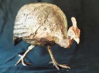 Helmeted Guineafowl - Edition Sold Out