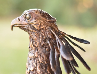 Hunter - Secretary Bird