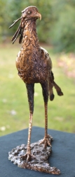Hunter - Secretary Bird