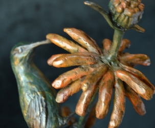 Malachite sunbird on leonotis flower