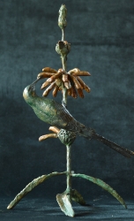 Malachite sunbird on leonotis flower