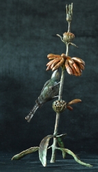 Malachite sunbird on leonotis flower