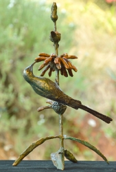Malachite sunbird on leonotis flower