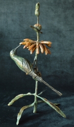 Malachite sunbird on leonotis flower