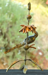Malachite sunbird on leonotis flower