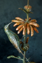 Malachite sunbird on leonotis flower