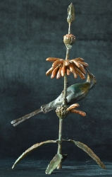 Malachite sunbird on leonotis flower