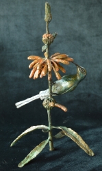 Malachite sunbird on leonotis flower