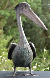 Pelican - no base