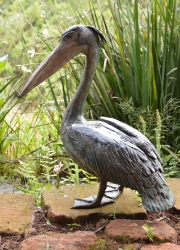 Pelican - no base