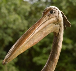 Pelican - with base